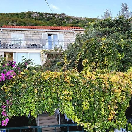 Tranquility And Nature In 4 Bedroom With Sea View Mokošica 외부 사진