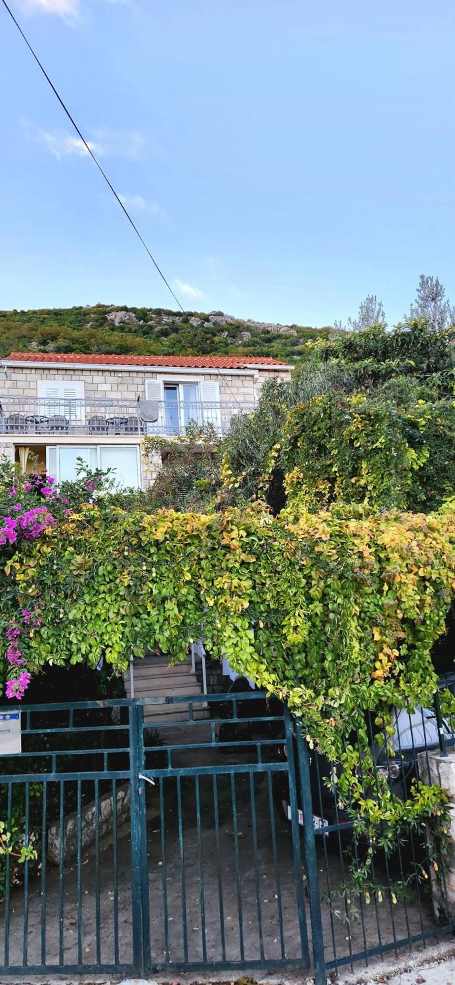 Tranquility And Nature In 4 Bedroom With Sea View Mokošica 외부 사진